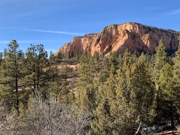 Zion region photography - Winter & Snow