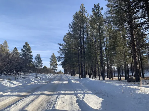 Zion region photography - Winter & Snow