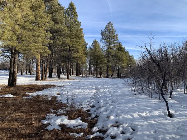 Zion region photography - Winter & Snow
