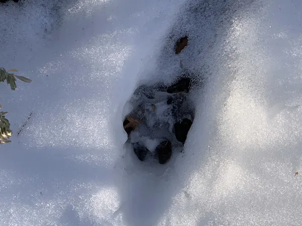Zion region photography - Winter & Snow