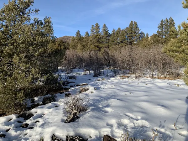 Zion region photography - Winter & Snow