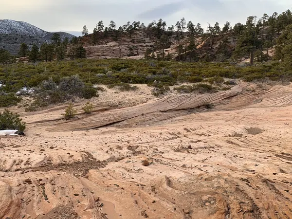 Zion region photography - Winter & Snow