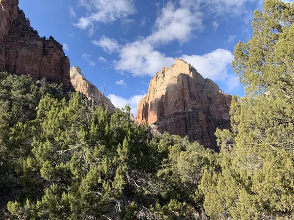 Zion region photography - Winter & Snow