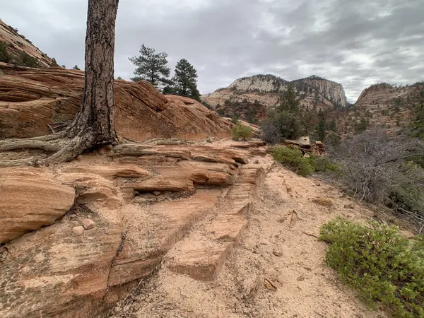 Zion region photography - Winter & Snow