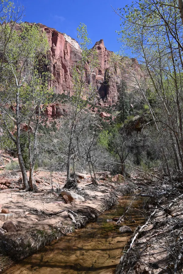 Zion region photography - Zion Canyon