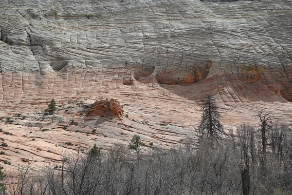Zion region photography - Zion Canyon