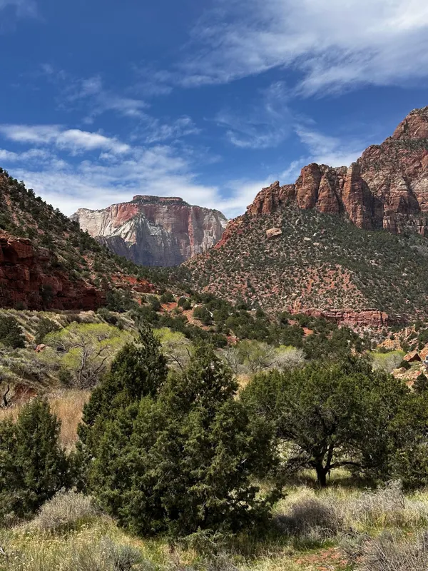 Zion region photography - Zion Canyon