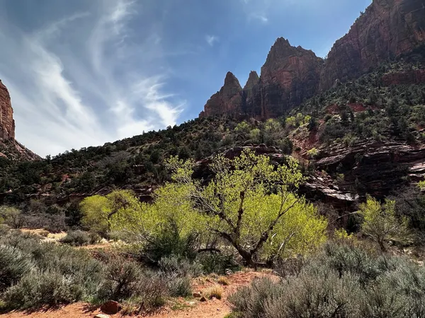 Zion region photography - Zion Canyon