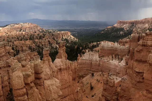 Hoodoo spires and forest seen from a rim viewpoint at Bryce Canyon National Park