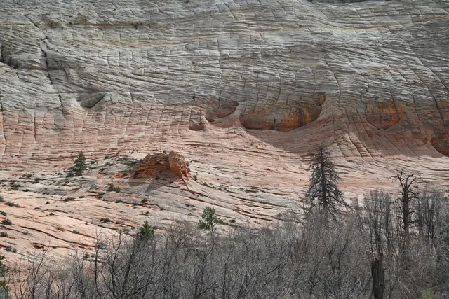 Cliffs and desert scrub near the east entrance of Zion