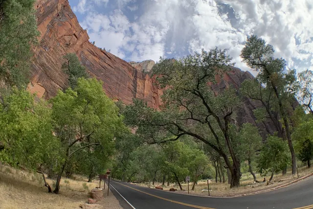 A curving road lined with cottonwoods under a cloudy sky beside a red cliff