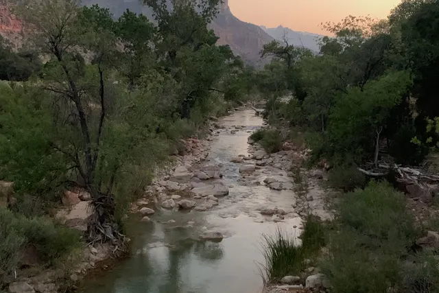 Trees and a shallow river with a canyon wall behind, under a fading pale sky