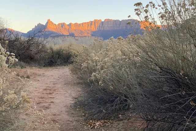 A dirt path through sage toward a distant red ridge lit warm under a pale sky