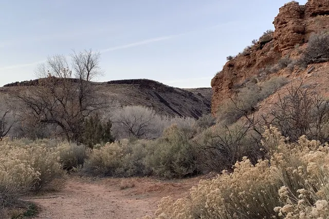 A sandy trail winding between rabbitbrush and red rock under a soft, cool sky
