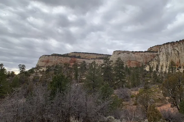 A flat-topped red and cream sandstone mesa above bare trees under a gray, cloudy sky